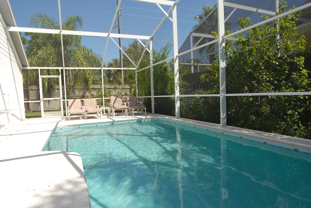 Relax in the Pool