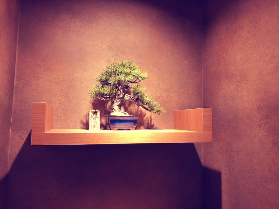 Japanese Bonsai