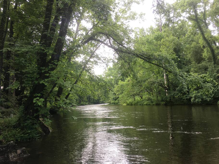 Fish the Little River