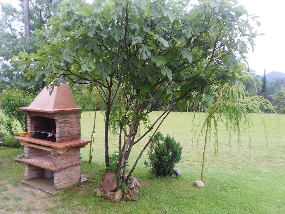 Barbacoa