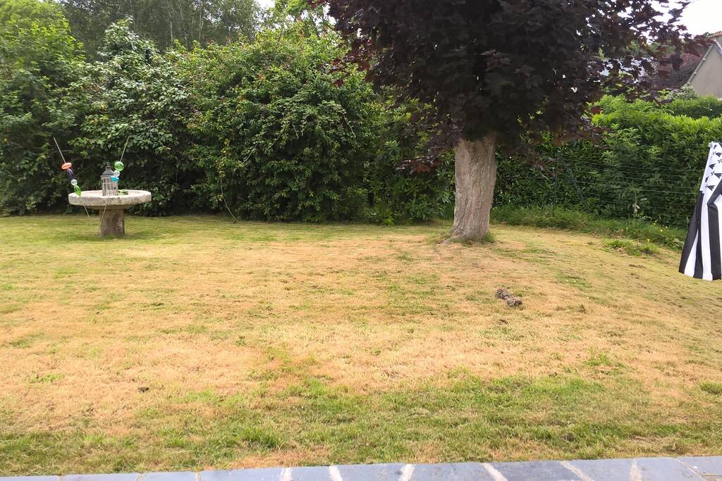 Jardin