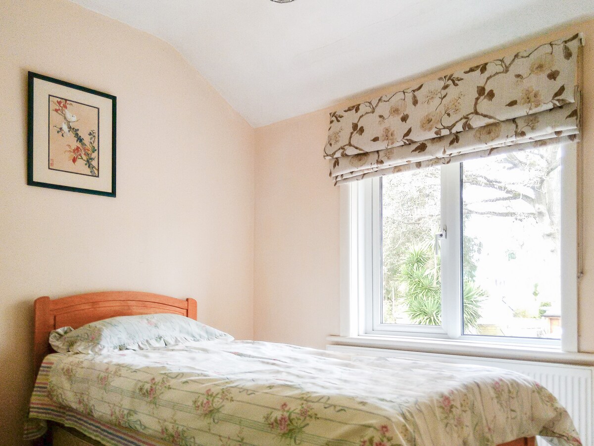 Bedroom 2 - setup here with a single bed