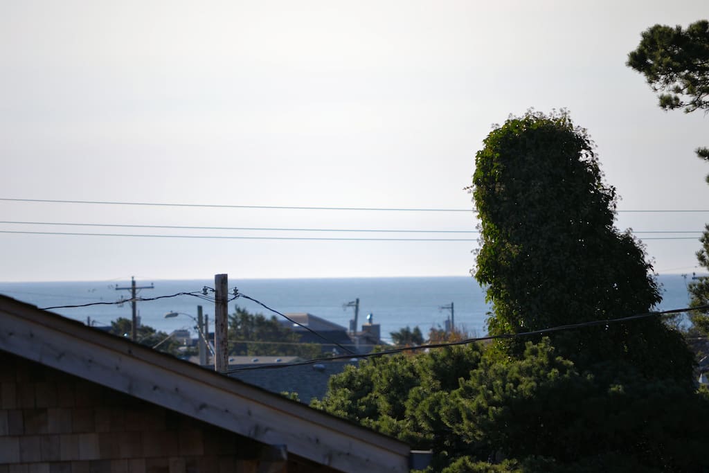 View from the rooftop deck