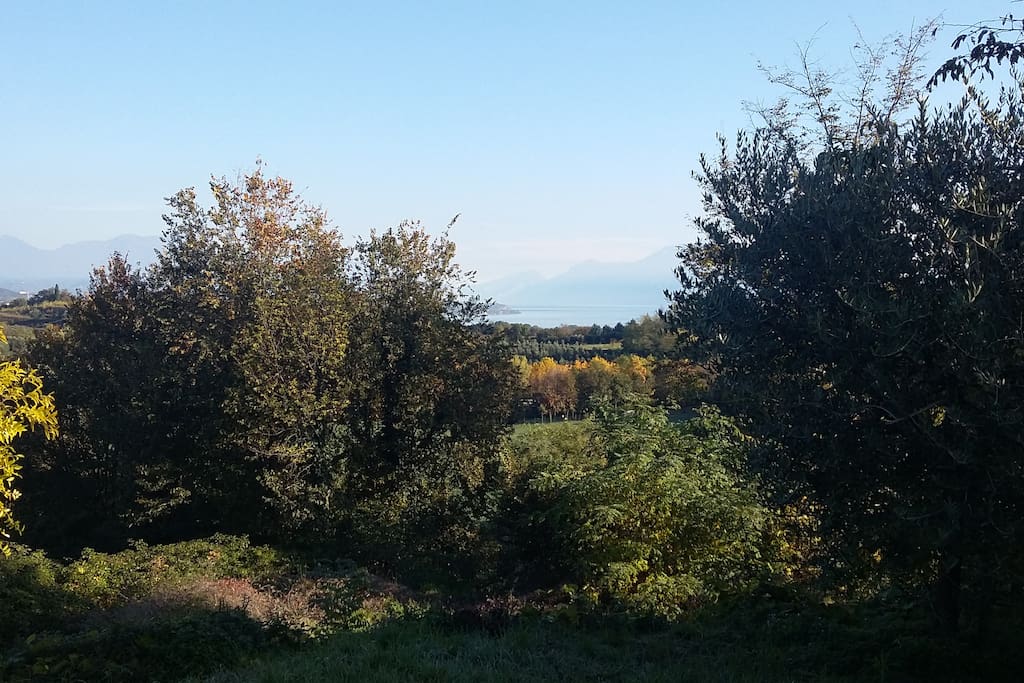 Vista lago dalle viti lato nord