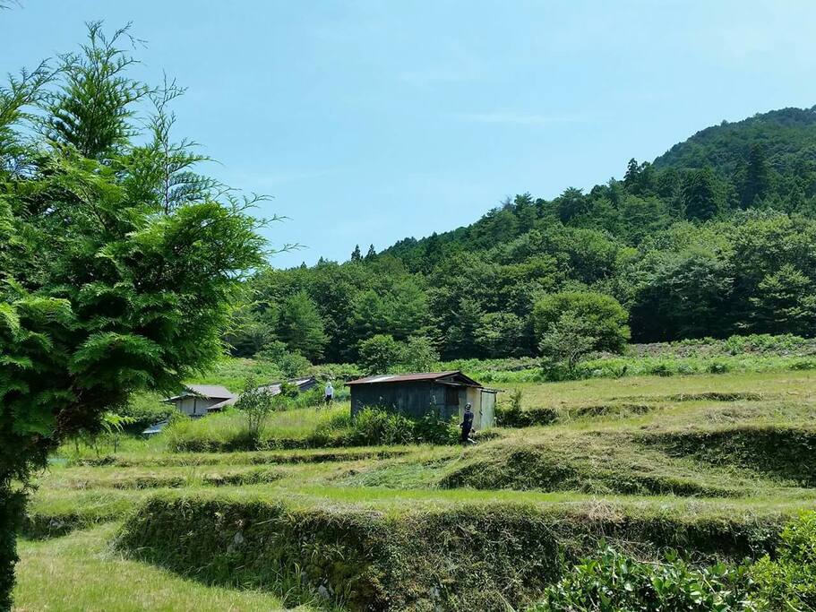 農業体験ができます