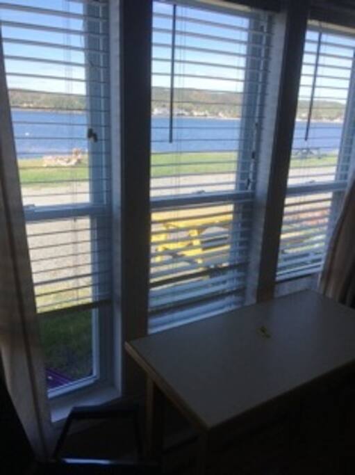 View out Living Room Window