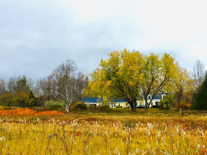 Ocean View Cape on 14 Private Acres Houses for Rent in Searsport