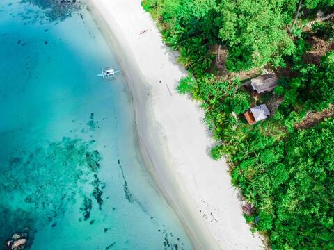 Tropical Jungle Cottage in a Secluded Beach Cove