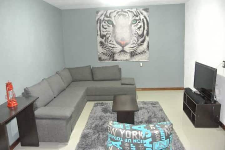 Set in central Guanajuato-The 19th Apartment