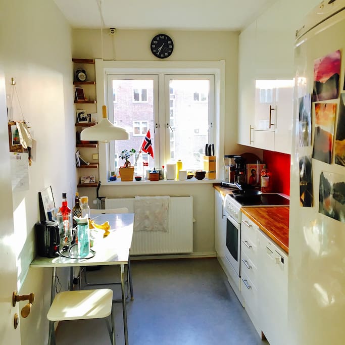 Kitchen facing back yard