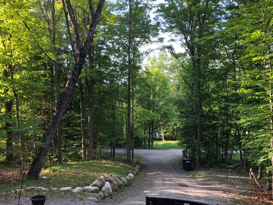 Wooded driveway, the beach is just through the trees!