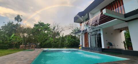The Jungle’s house