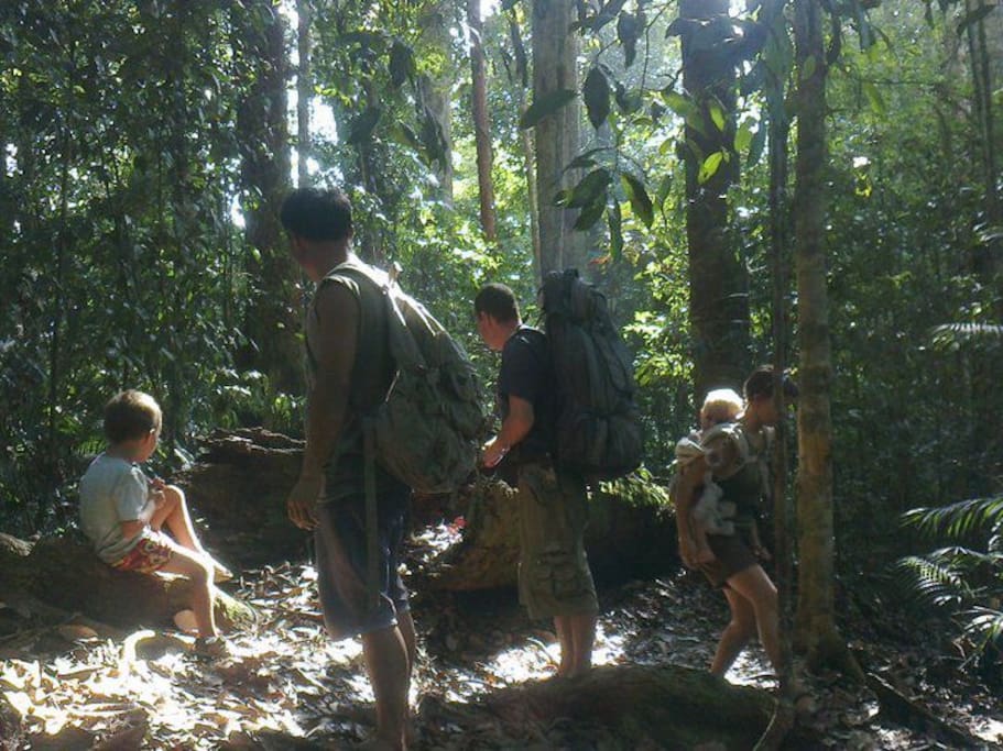Jungle Edie Homestay Trekking And