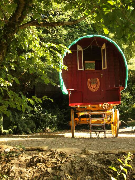 The wagon stands tall on the hardstanding.