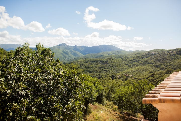 Les Jardins De Lacamp, Un Paradis En Sud Cévennes - Gard