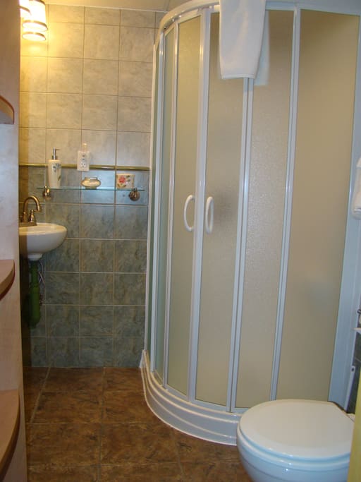 Salle-de-bain privée avec douche