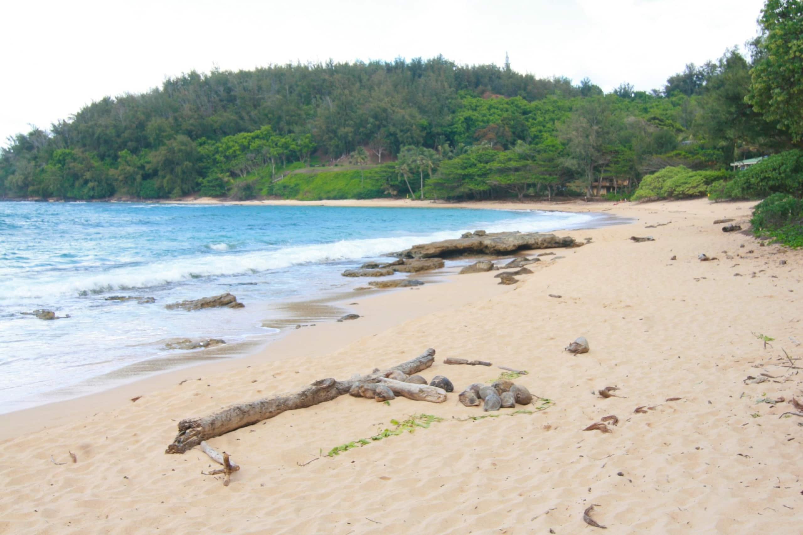 Spectacular Moloa'a Bay on the Beach - Photo 19