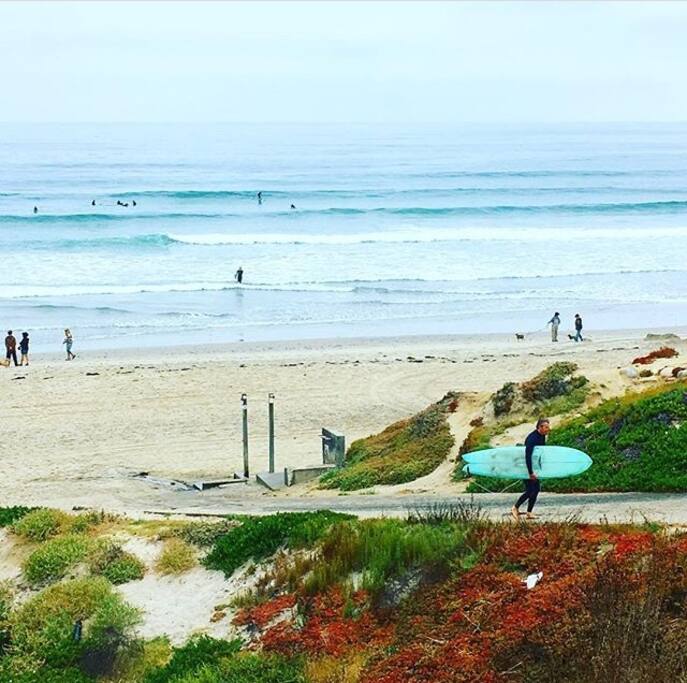 A quick 3 small block walk to the beach. Catch some waves + walk back. Ask about our surfboard rentals, surf lessons and guided surf tours.
