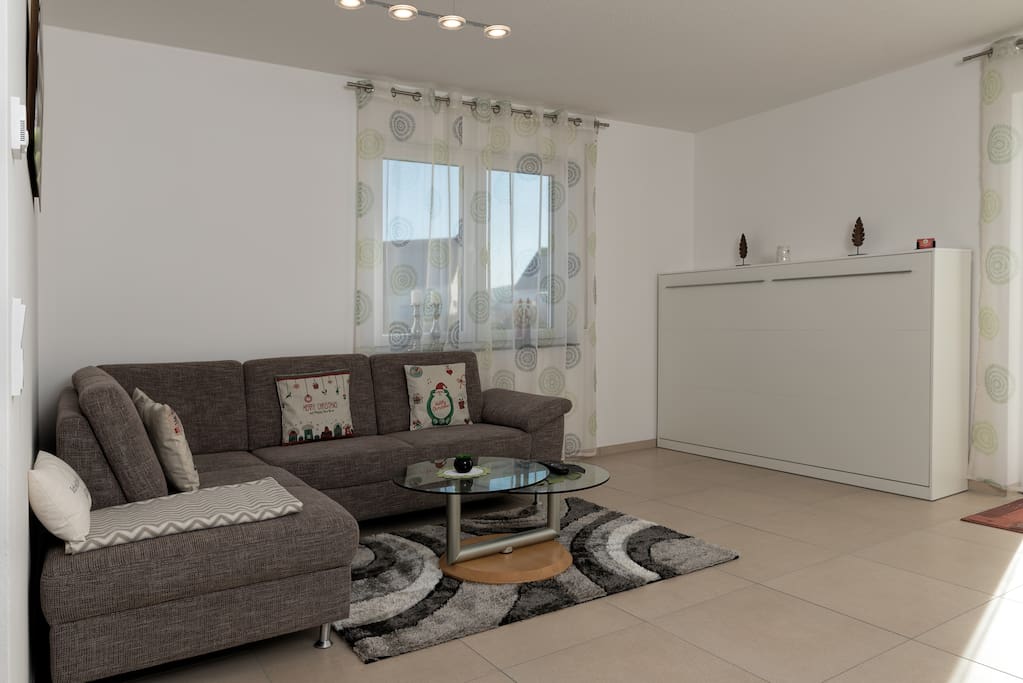 Wohnzimmer mit Schrankbett und Sofa