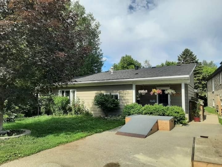 Top 10 PetFriendly In Barrie, Canada Updated 2024