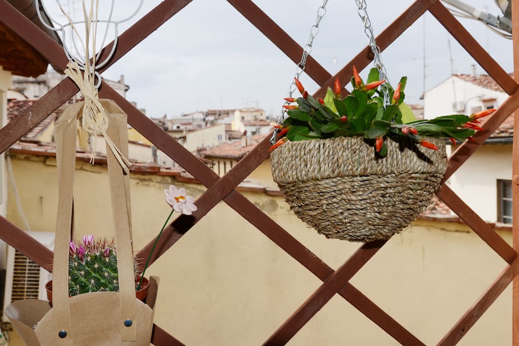 Florence over the roofs