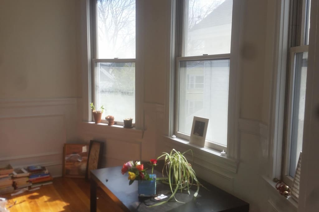 Bay windows, sunny