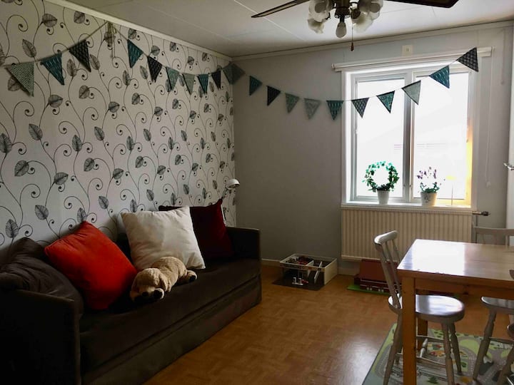 De speelkamer van de kleinkinderen heeft een slaapbank met twee aparte bedden.
