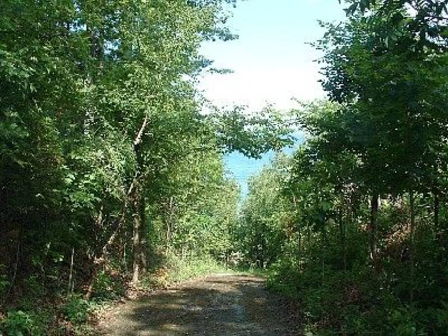 Private path to beach