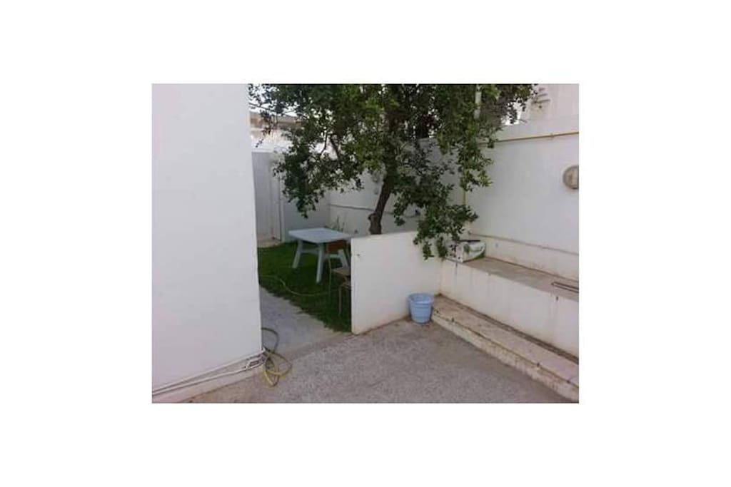 Un petit Jardinet Gazon