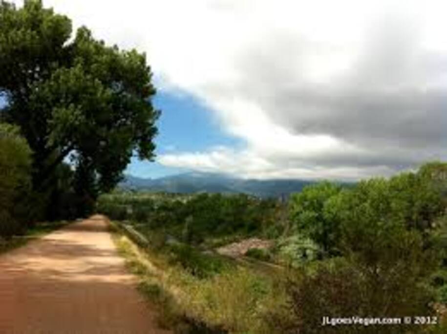 The apt is right on a beautiful creekside trail.... this is heading south to downtown ColoSpgs, a 15 minute bike ride