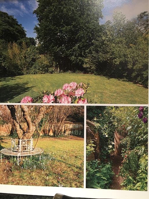 Large garden