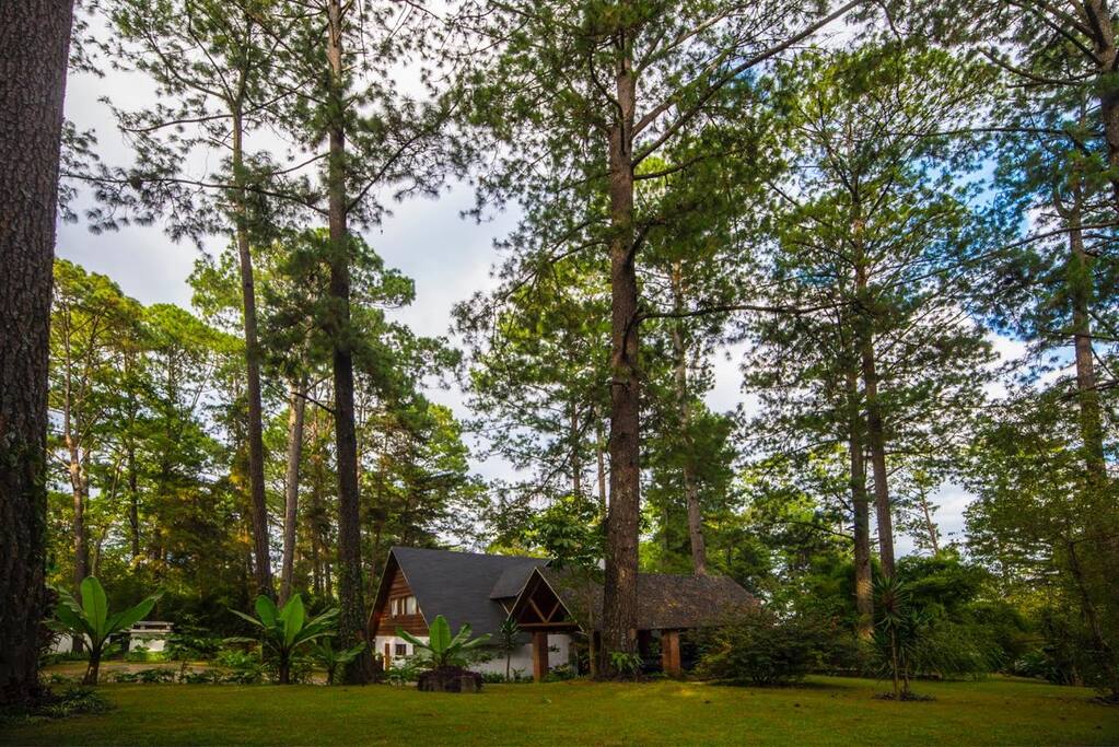 Chalet rodeado de jardines y árboles