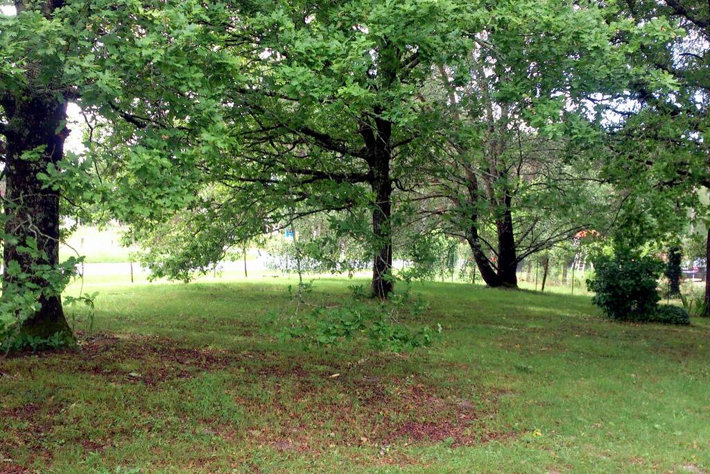 terrain