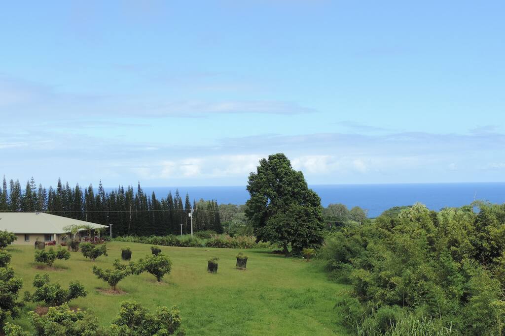 View of Mahana House