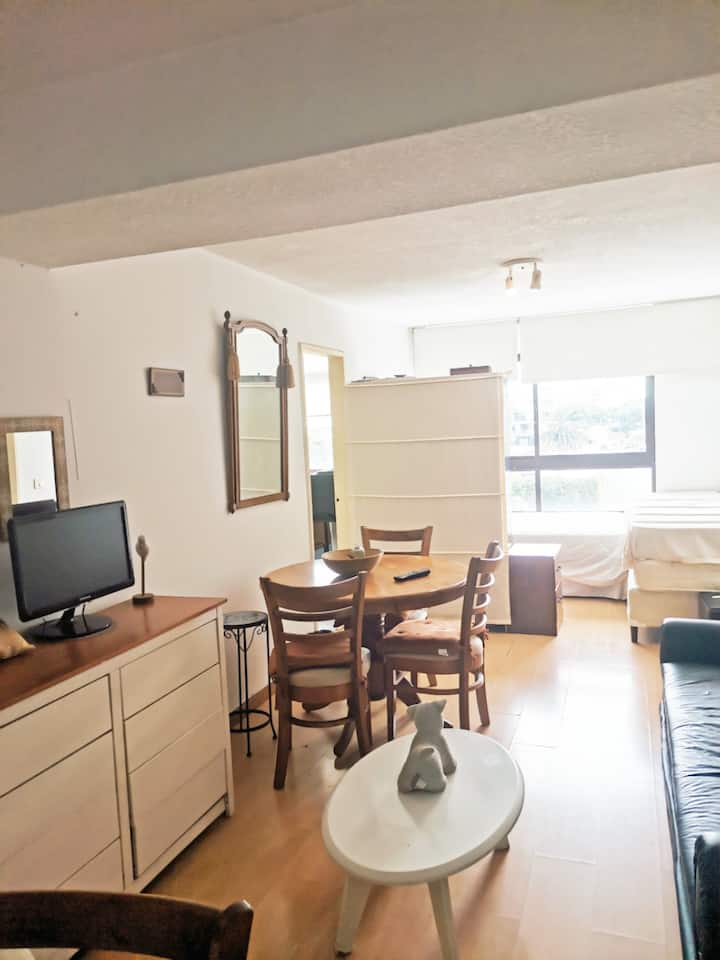 Montevideo Rent Apartment