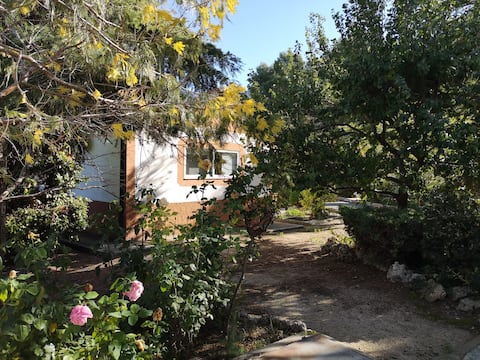 House in Arganda del Rey