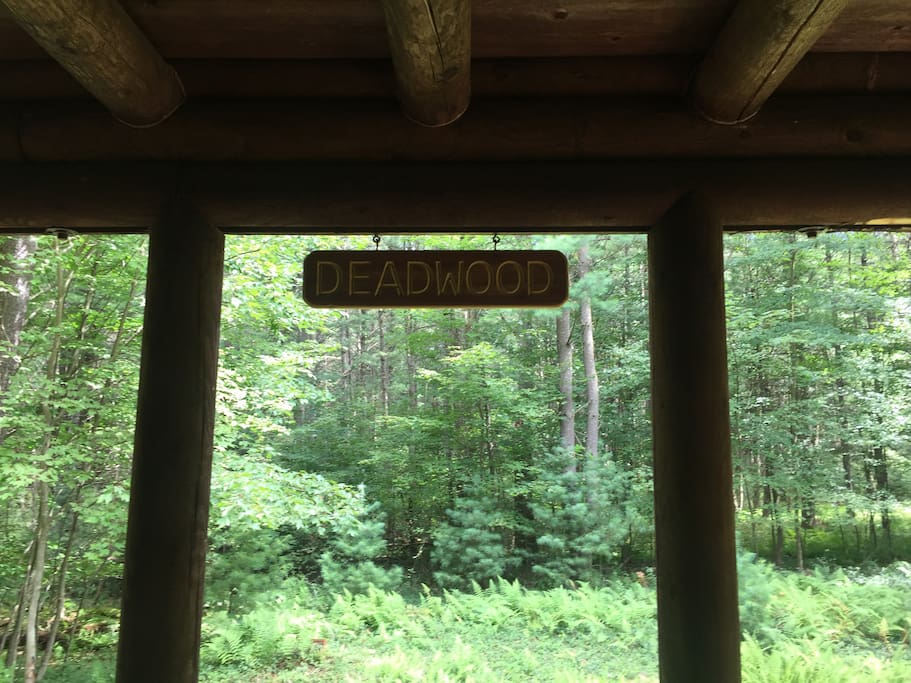 Camp Deadwood...Surrounded by forest!
