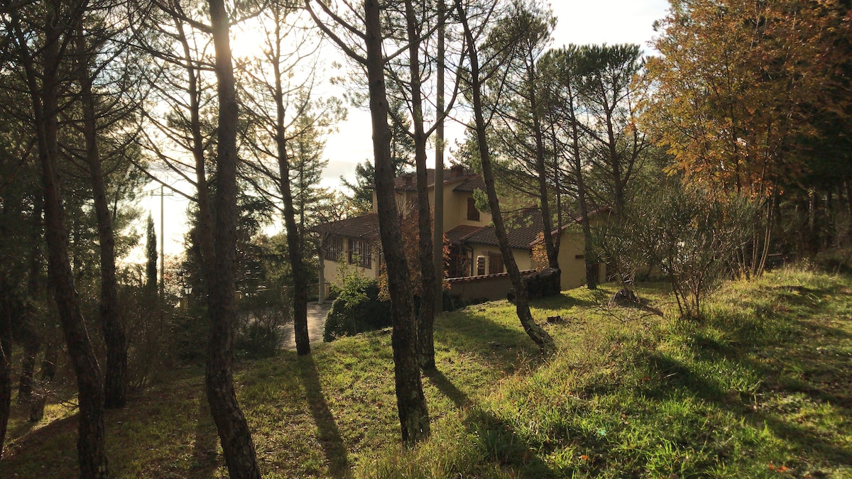 A villa is nestled among tall pine trees, with natural light filtering through the branches. The greenery of the surrounding landscape is visible, creating a serene atmosphere. The structure features a warm earthy color, blending harmoniously with the environment.