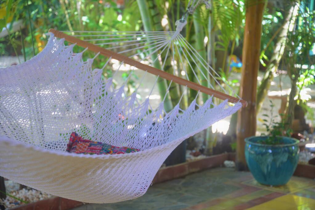 or Zzzz..in the hammock