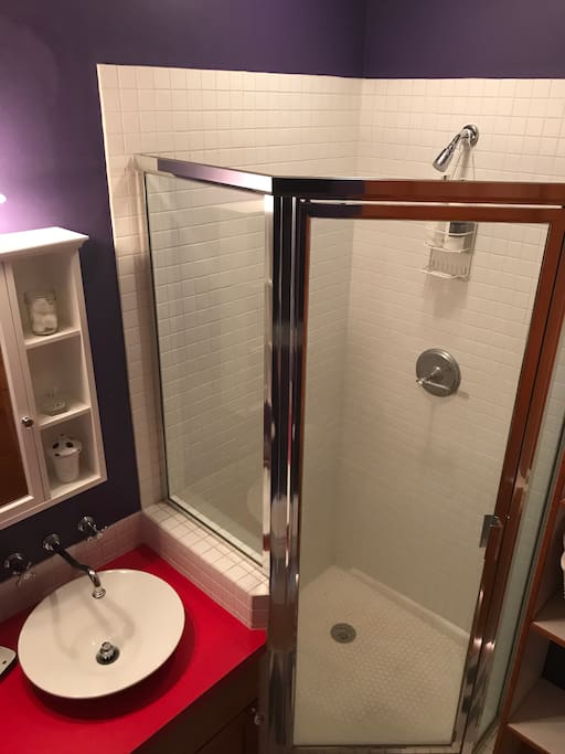 Guest bathroom
