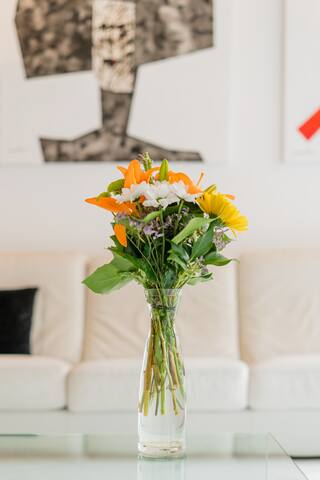 HOME IN VALENCIA AT PLAZA DE LA REINA-CATEDRAL gallery image 3