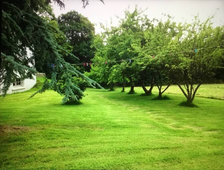 Orchard gardens