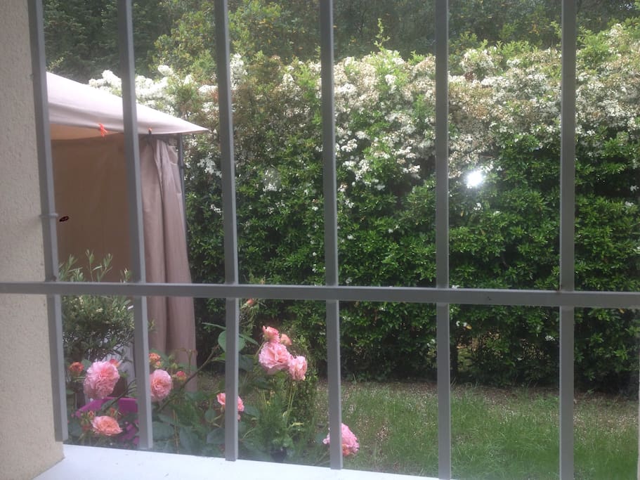 Photo depuis la fenêtre de notre cuisine donnant sur le jardin et sur la terrasse pergola.