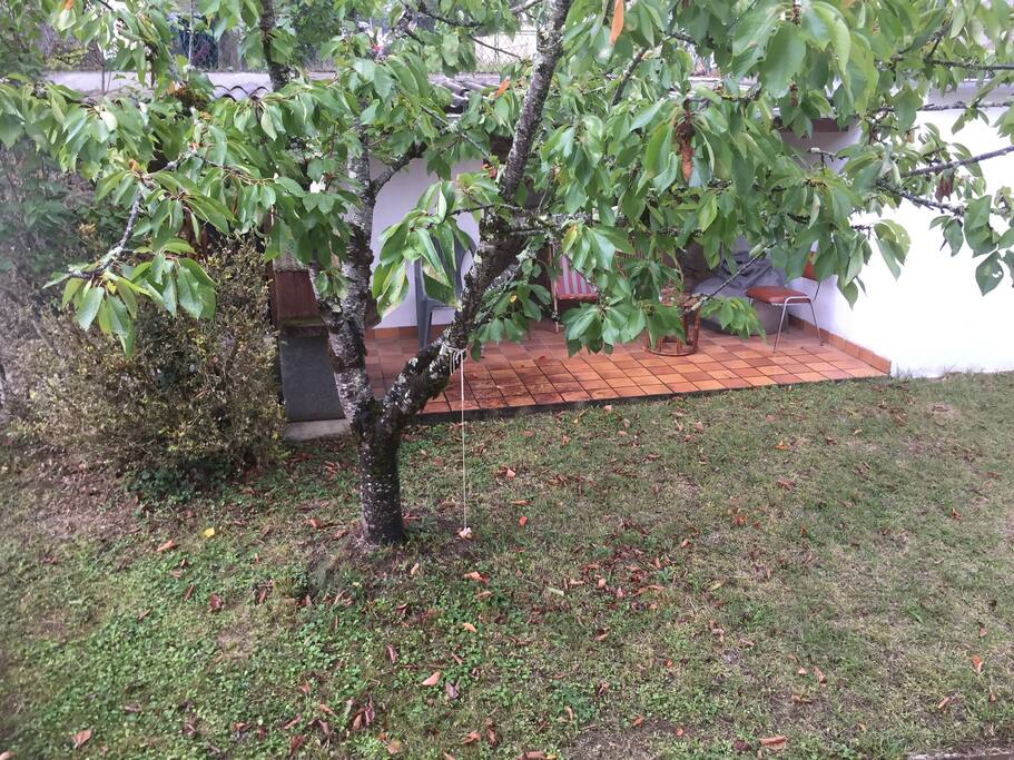 Petit jardin convivial