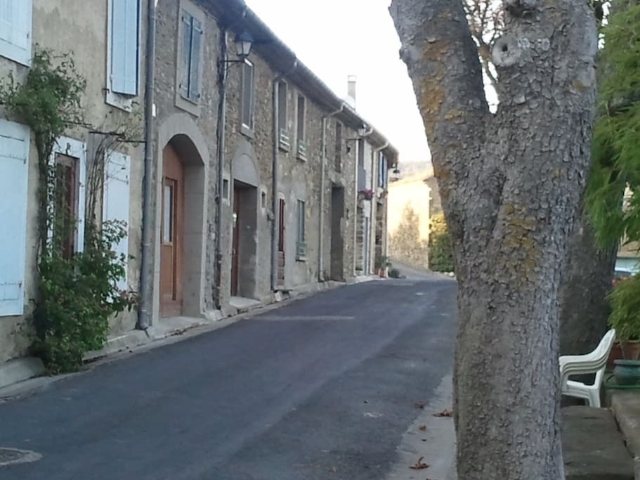Road in village