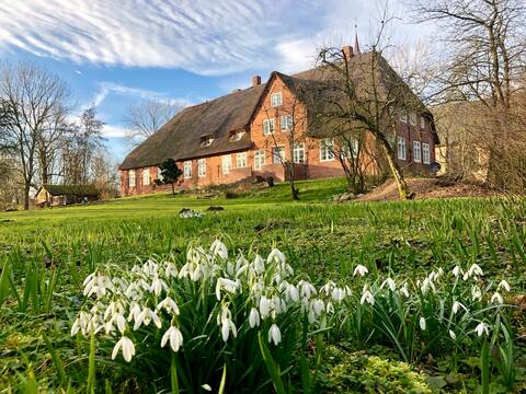 nordsee.estate - NordseeLodge under thatch with sauna