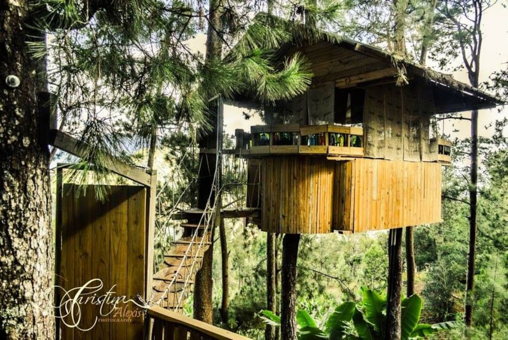 Our Special room for two "the treehouse"