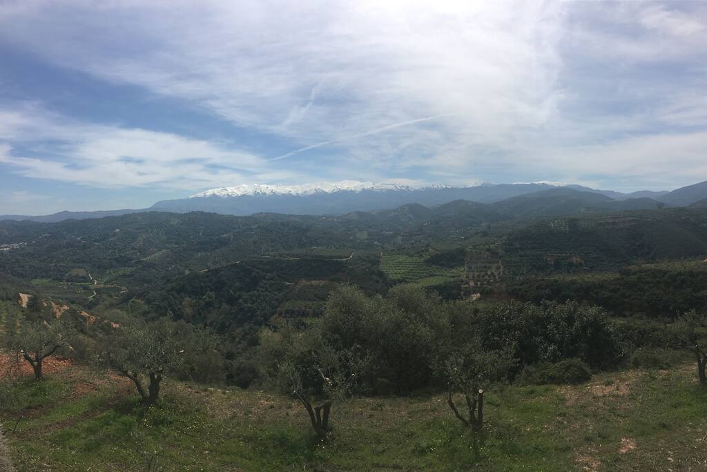 The area