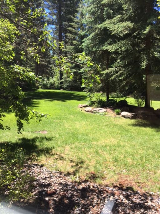 View from bedroom