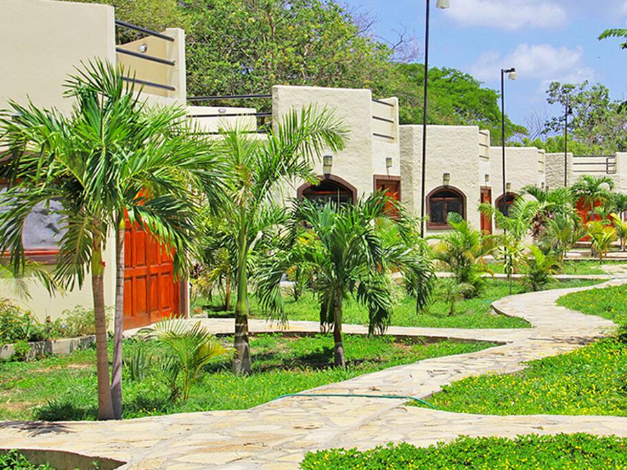 All villas have private rooftop terraces, within an arms reach from monkeys that live in the jungles behind.